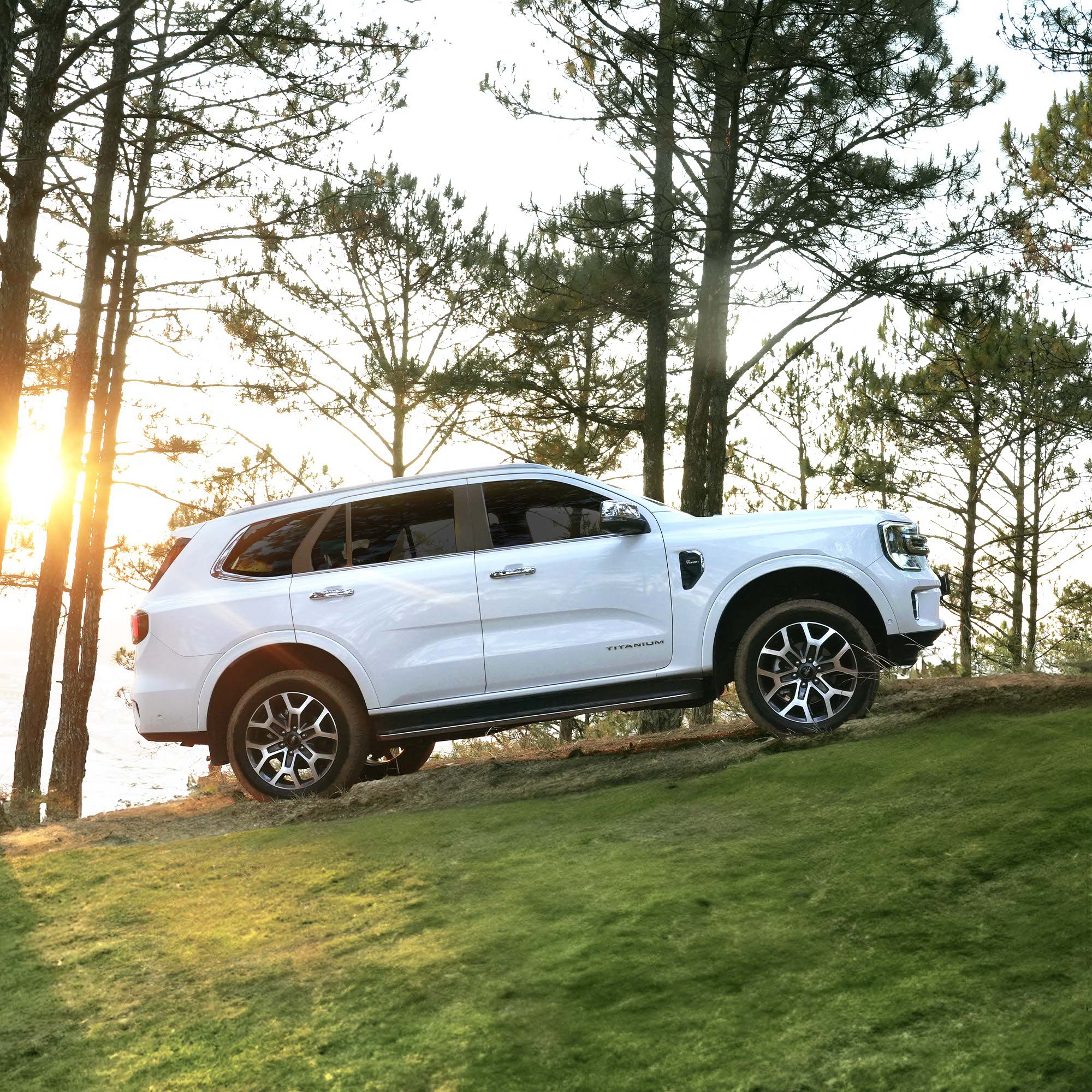 Gia xe Ford Everest 2026